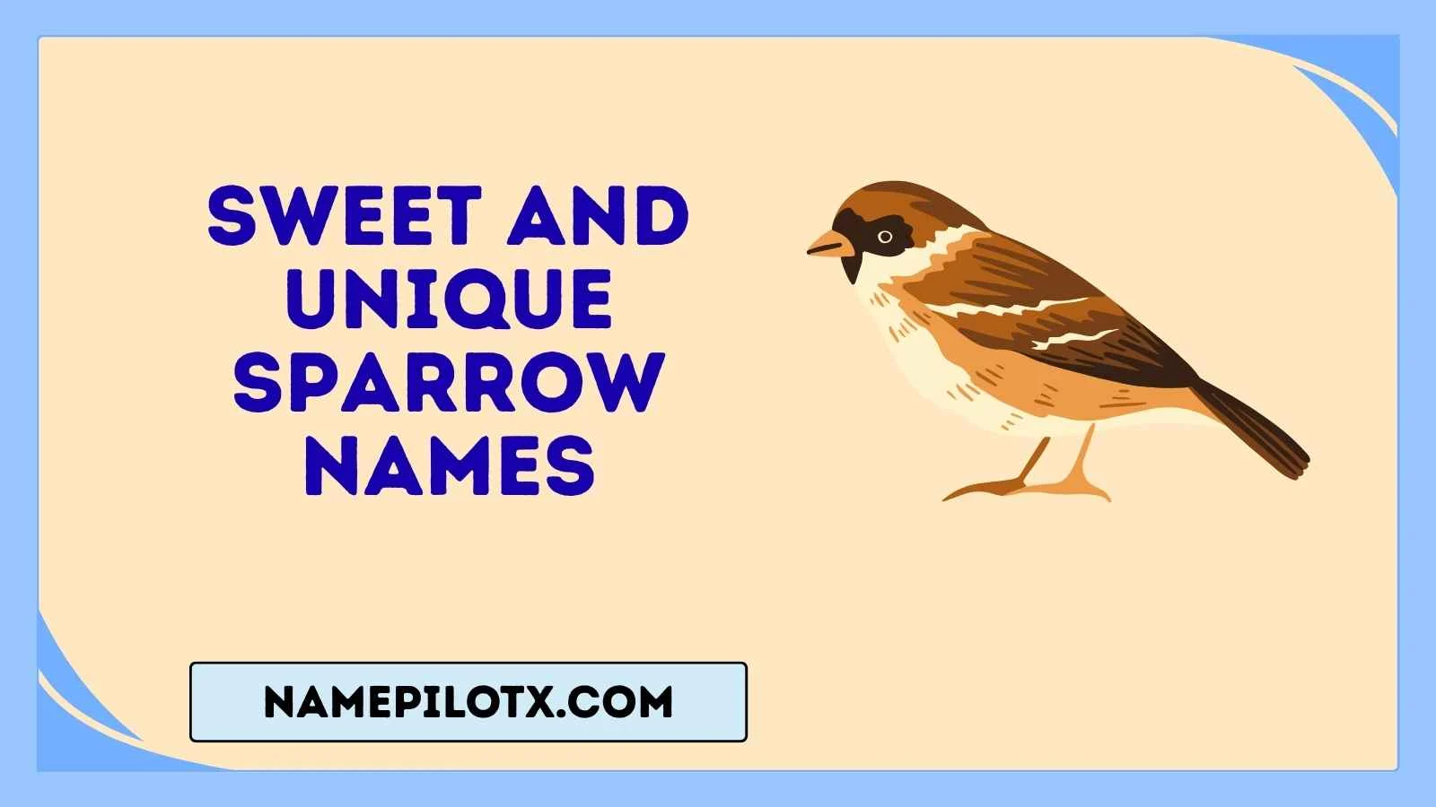 sweet and unique sparrow names