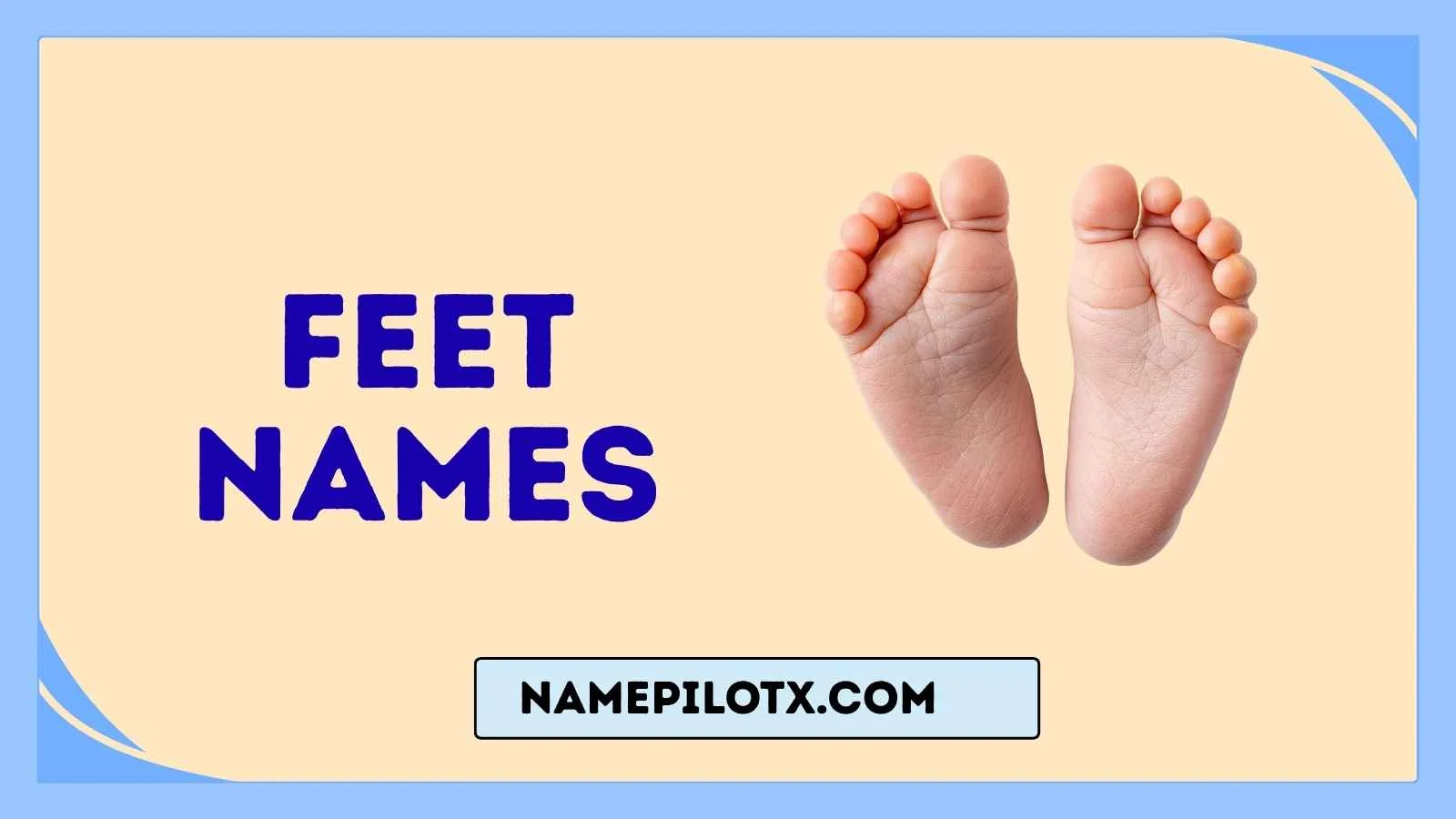 Feet Names