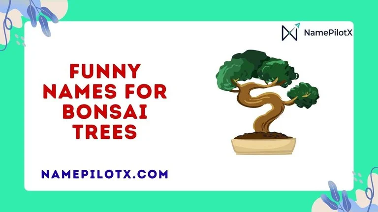 Funny Names For Bonsai Trees